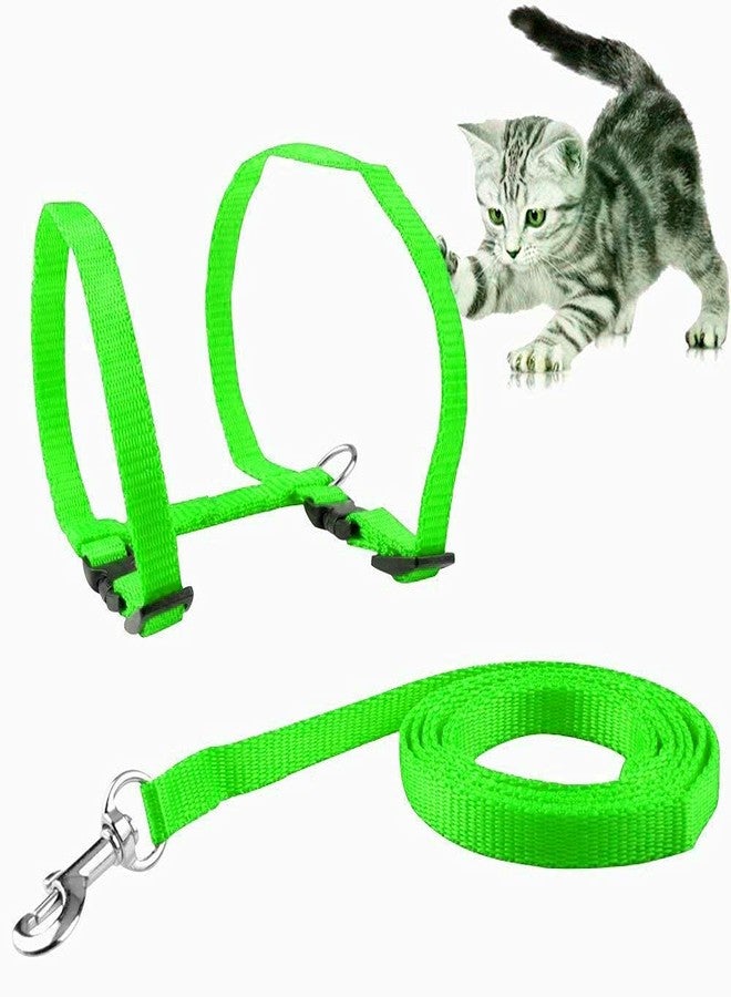 Pups&Pets طقم حزام ومقود للقطط من Pups&Pets - طوق حزام نايلون قابل للتعديل مع مقود للمشي مع الحيوانات الأليفة الصغيرة - سادة (أخضر) - Image 3